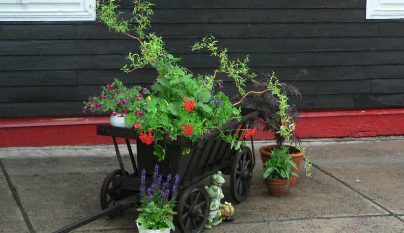 Penzion A+A Pec pod Sněžkou